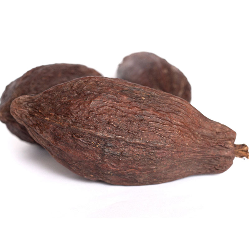 For Your Classroom Equal Exchange